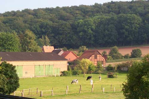 derneburg3