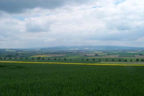vorharz1