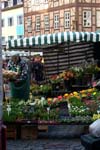 hildesheim1