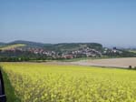 wesseln1